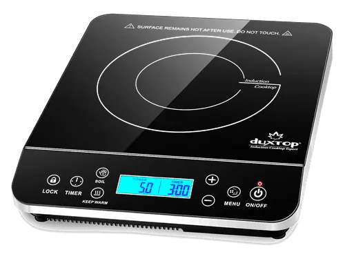Duxtop 9600LS single induction cooktop, silver